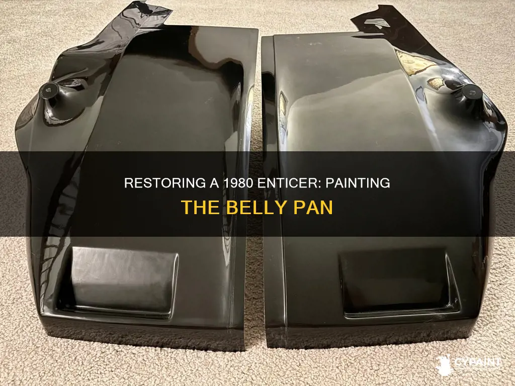 how to paint a 1980 enticer 300 belly pan