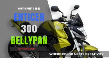 Revive Your 1980 Enticer 300: Bellypan Painting Guide