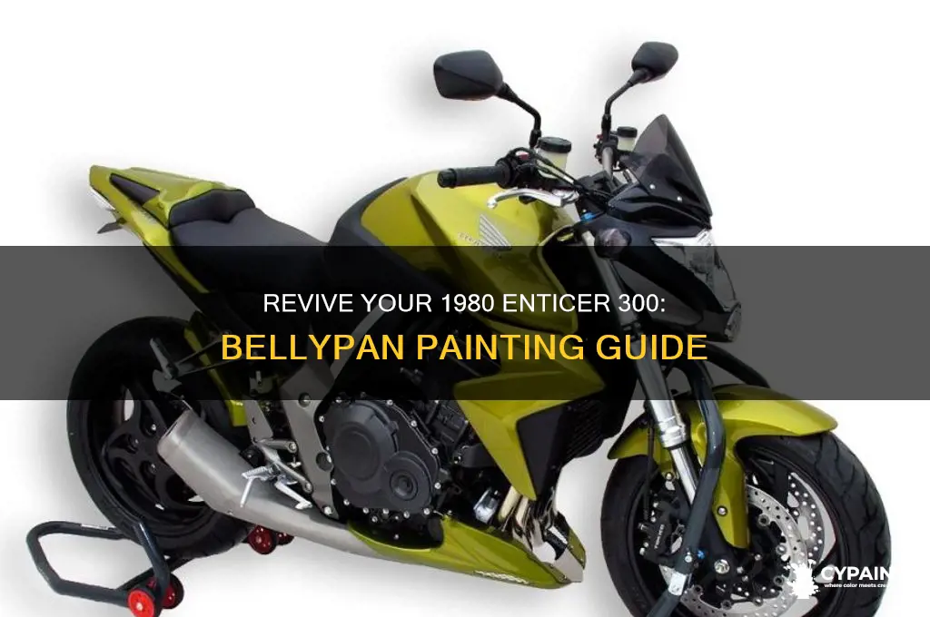 how to paint a 1980 enticer 300 bellypan