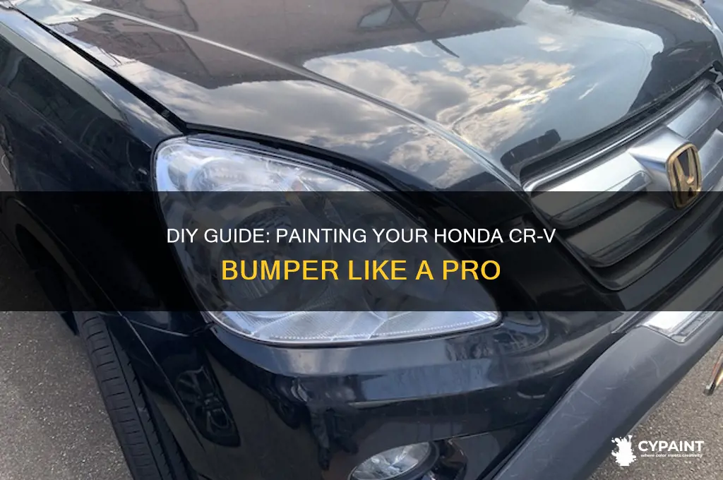 how to paint a 2000 cr-v bumper