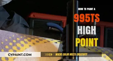 Mastering the Art of Painting a 995TS High Point