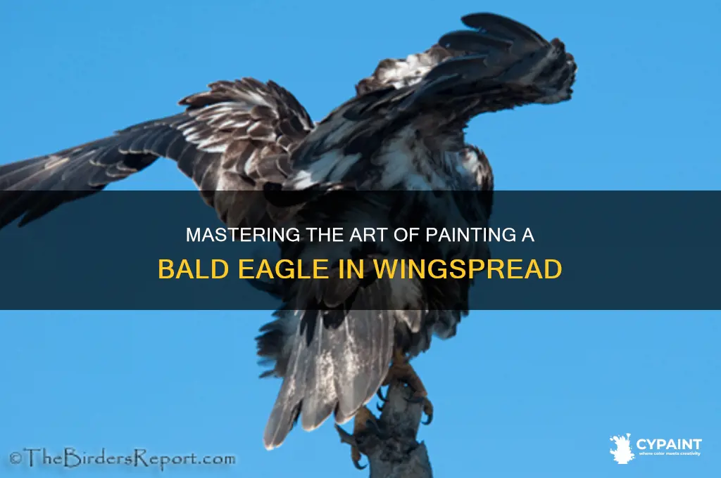 how to paint a bald eagle in wingspread