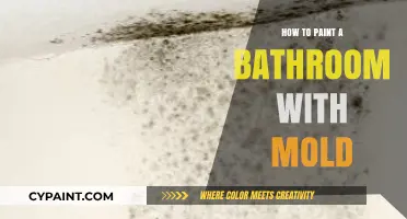 Effective Bathroom Painting Tips to Combat and Prevent Mold Growth