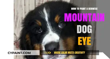Mastering the Art of Painting a Bernese Mountain Dog's Eye