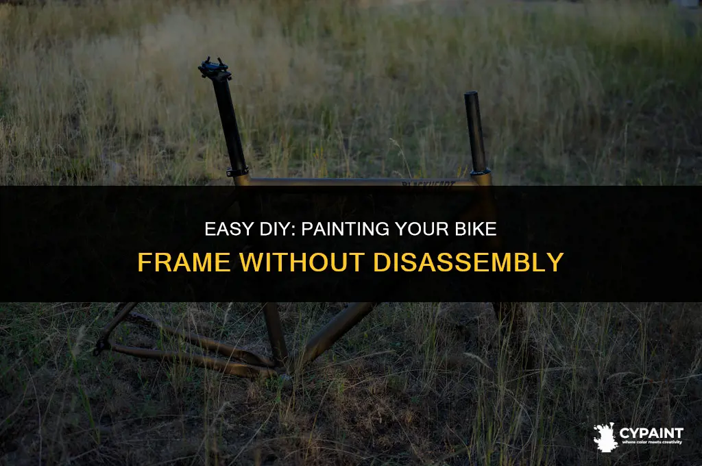 how to paint a bike frame without taking it apart