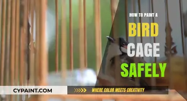 Safe Bird Cage Painting: Tips for a Non-Toxic, Vibrant Finish