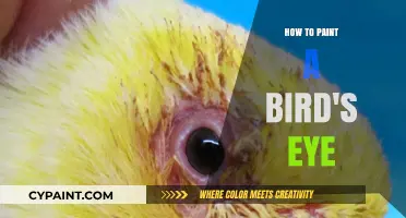 Mastering Bird's Eye Painting: Techniques for Realistic Feather Details
