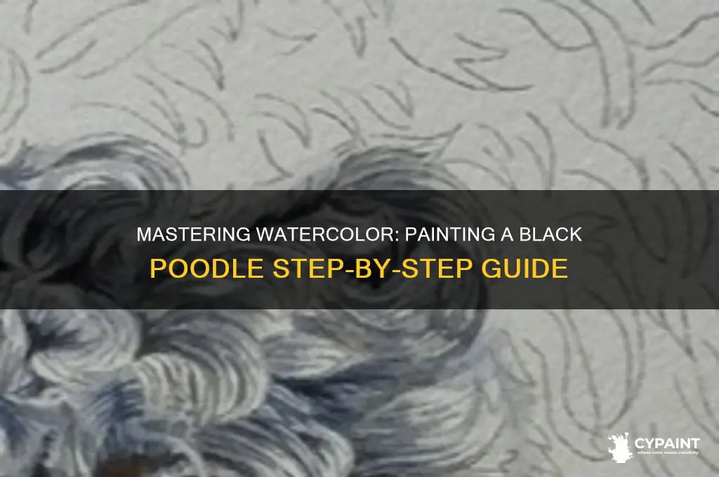 how to paint a blackpoodle in warercolor