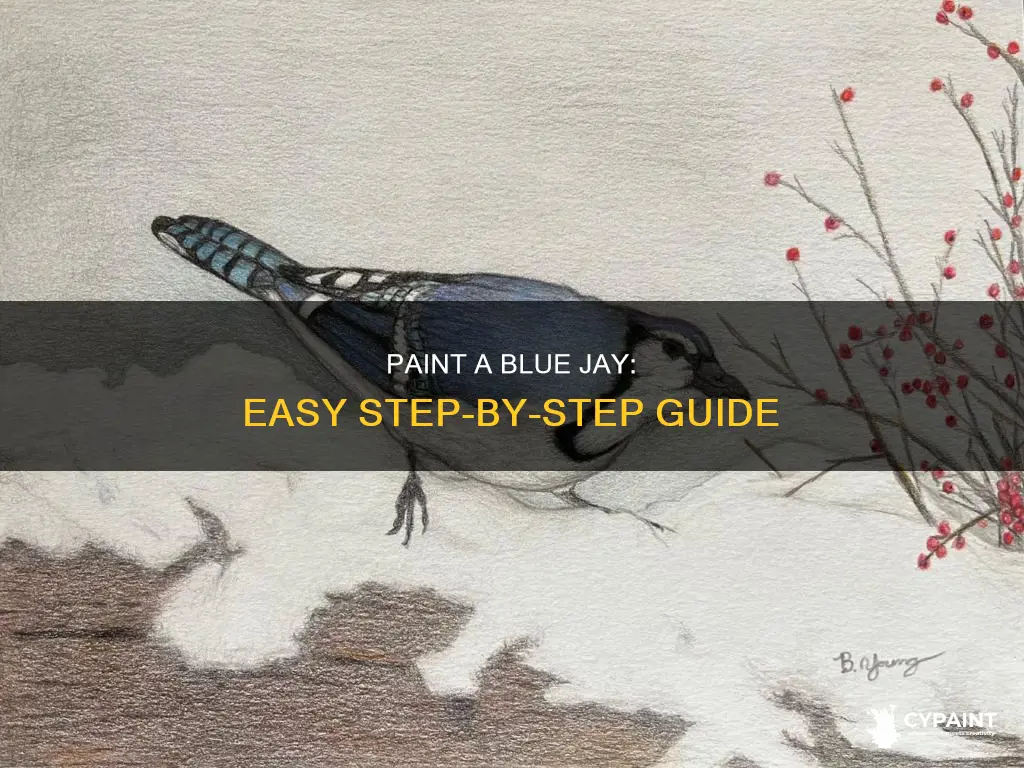 how to paint a blue jay step by step