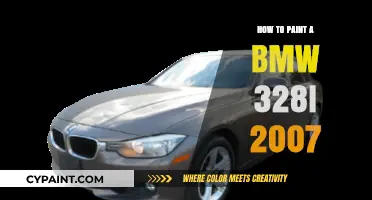 DIY Guide: Painting Your 2007 BMW 328i Like a Pro