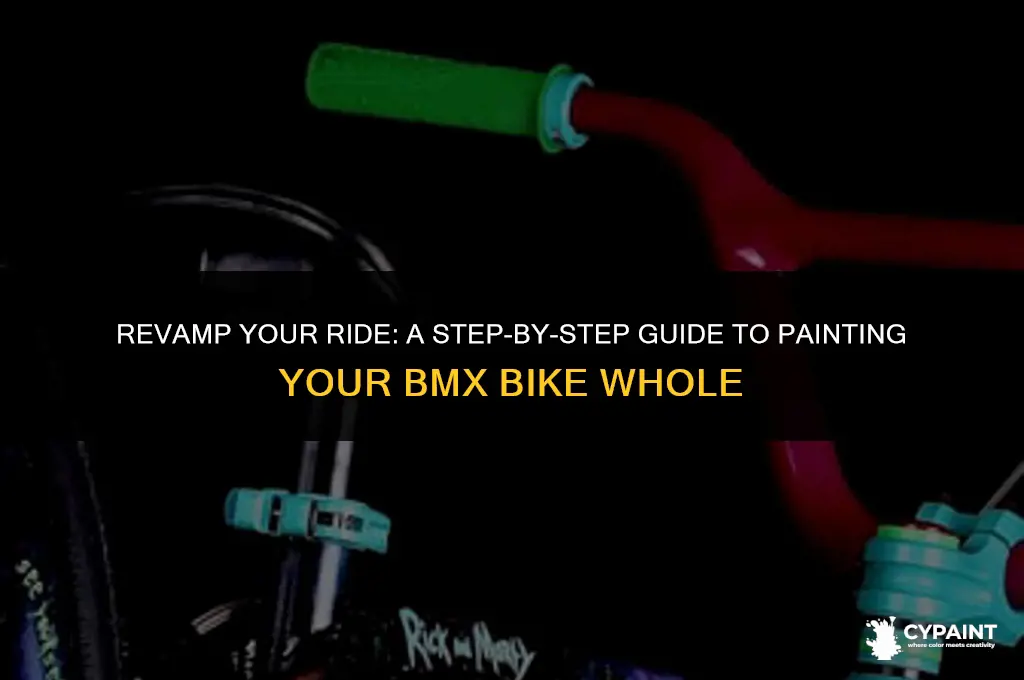 how to paint a bmx bike without taking it apart