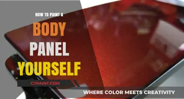 DIY Body Panel Painting: Step-by-Step Guide for Perfect Results