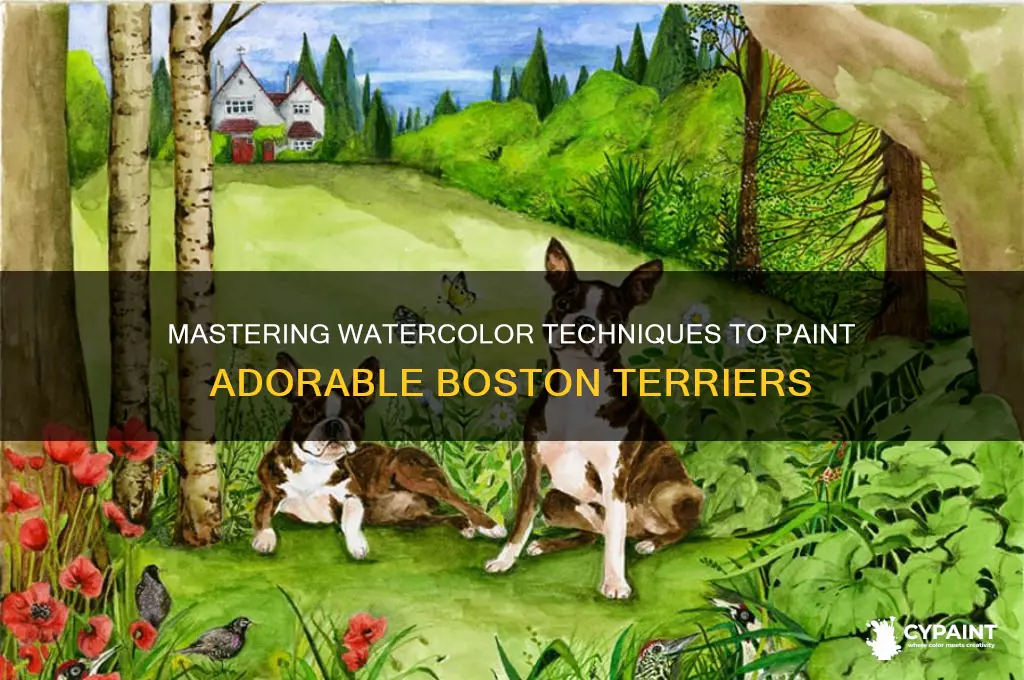 how to paint a boston terrier watercolours