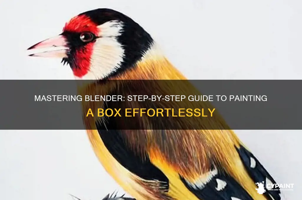 how to paint a box in blender