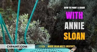 Revamp Your Chair: A Guide to Painting with Annie Sloan