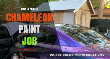 Mastering Chameleon Paint: Techniques for a Stunning Color-Shifting Finish