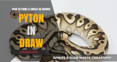 Mastering Circle Art: A Guide to Orange Python Drawing
