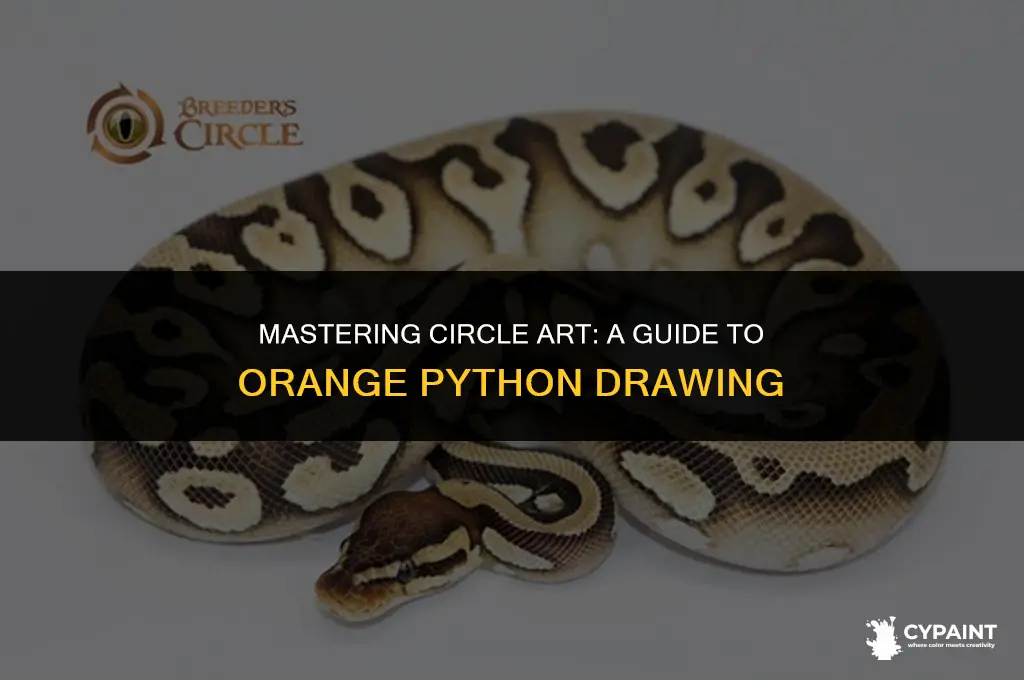 how to paint a circle in orange pyton in draw
