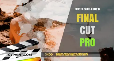 Painting Clips in Final Cut Pro: A Beginner's Guide