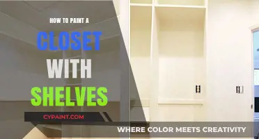 Painting a Closet with Shelves: A Step-by-Step DIY Guide