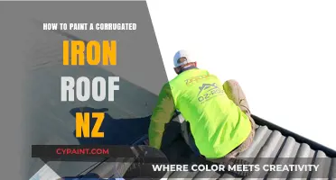 Painting a Corrugated Iron Roof in NZ: Step-by-Step Guide