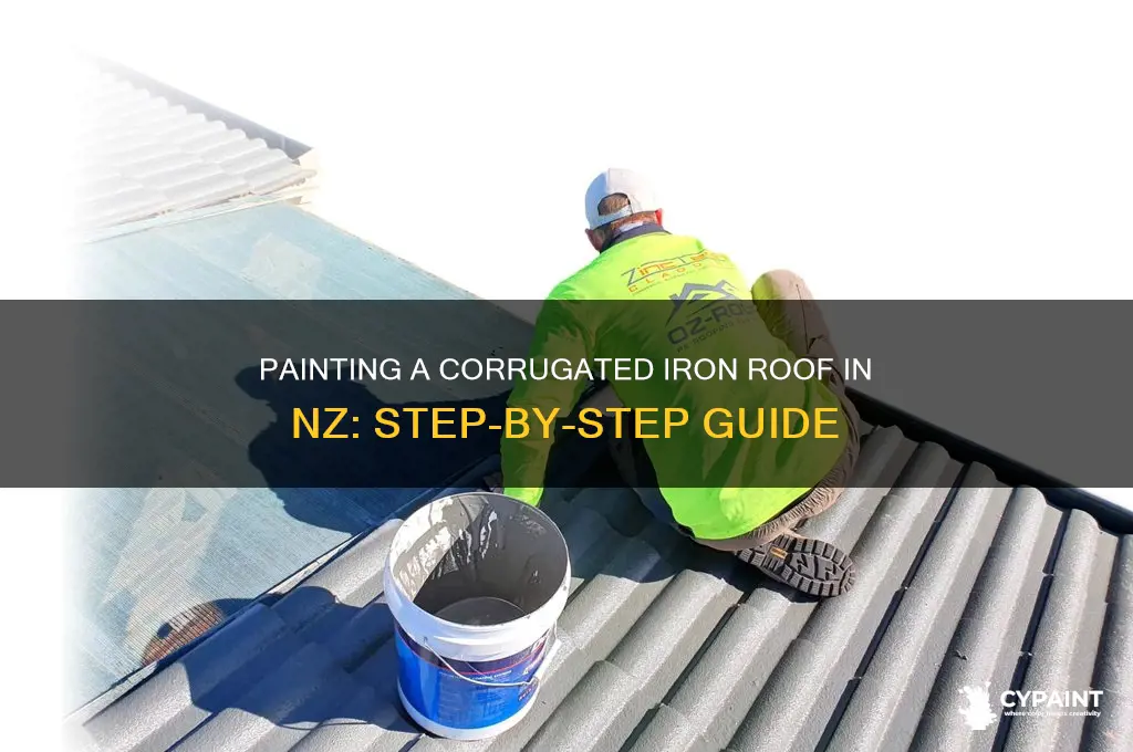 how to paint a corrugated iron roof nz