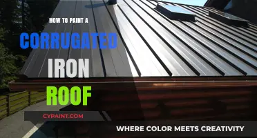 Mastering the Art of Painting Corrugated Iron Roofs: A Step-by-Step Guide