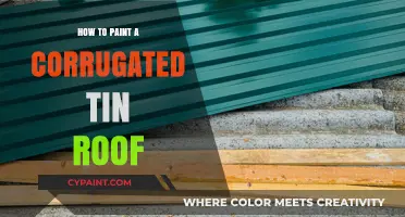 Mastering the Art of Painting a Corrugated Tin Roof: Tips and Tricks