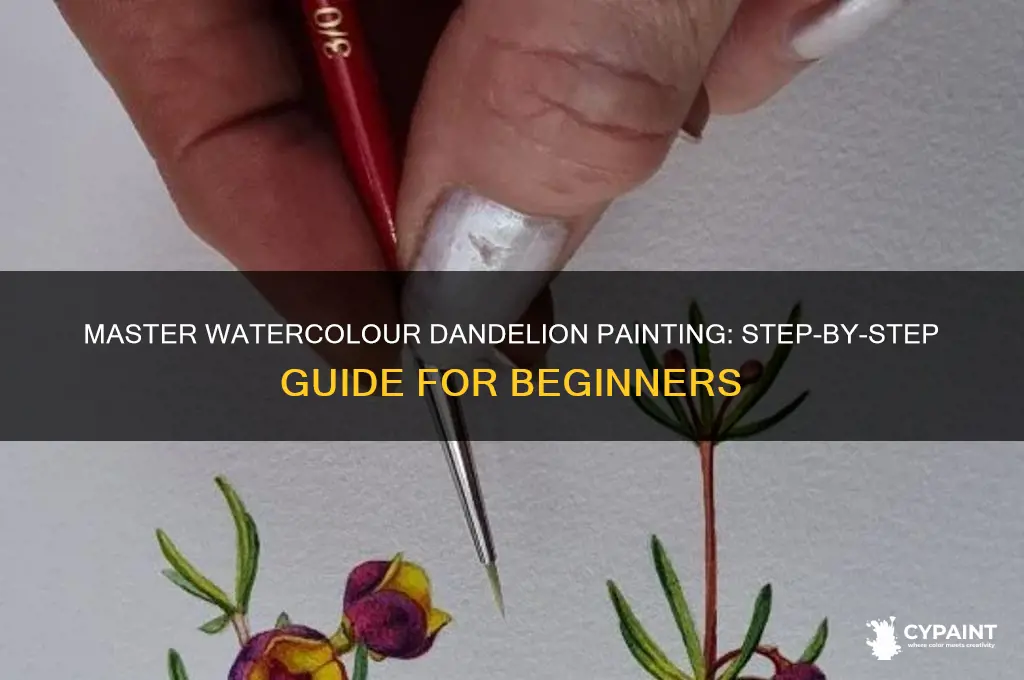 how to paint a dandelion in watercolour