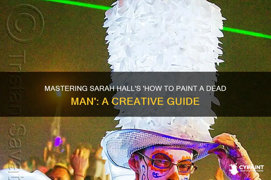 how to paint a dead man sarah hall