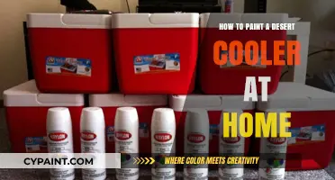 DIY Desert Cooler Makeover: Easy Painting Tips for Home Use