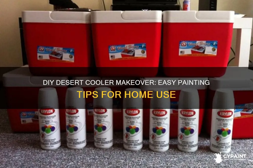 how to paint a desert cooler at home