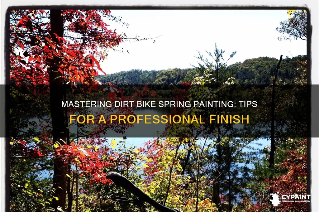 how to paint a dirt bike spring