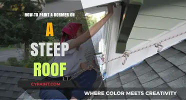 Steep Roof Dormer Painting: Tips and Tricks