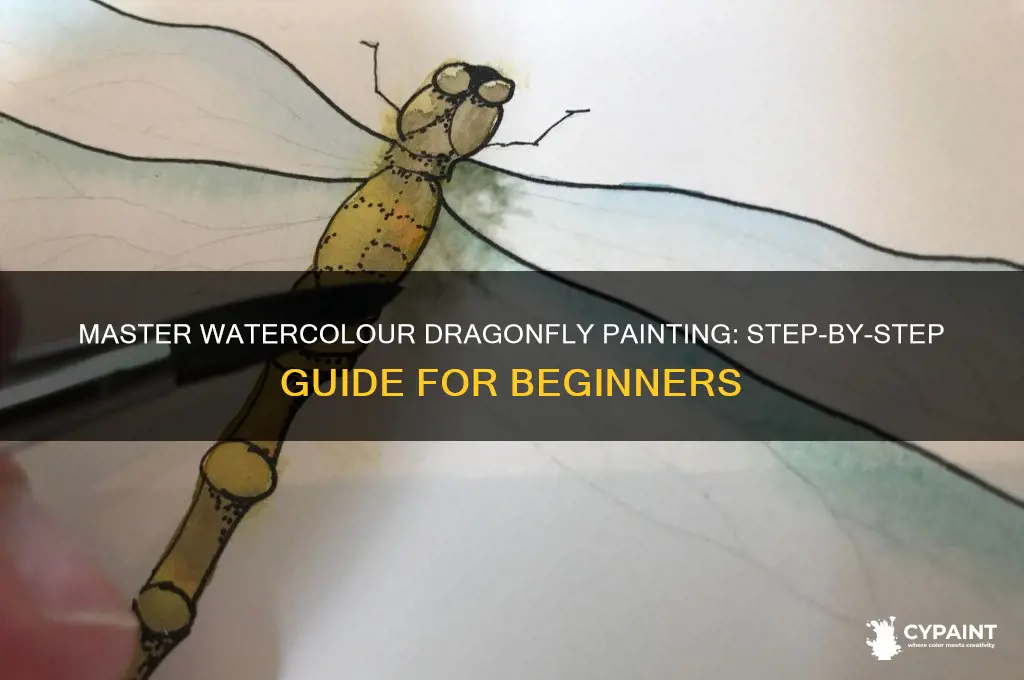 how to paint a dragonfly in watercolour