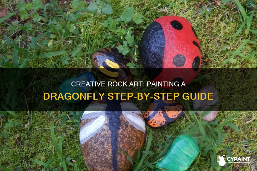 how to paint a dragonfly on a rock