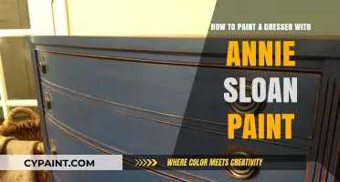 Transform Your Dresser with Annie Sloan Paint