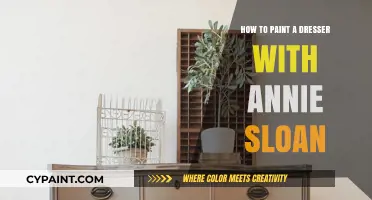 Transform Your Dresser with Annie Sloan Chalk Paint: A Step-by-Step Guide