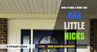Repairing Nicks: Painting Your Front Door Like a Pro
