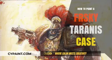Customizing Your FrSky Taranis Case: A Step-by-Step Painting Guide