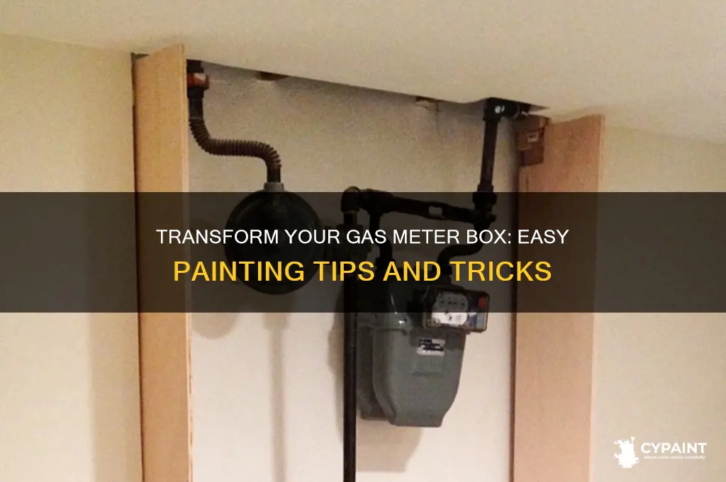 how to paint a gas meter box