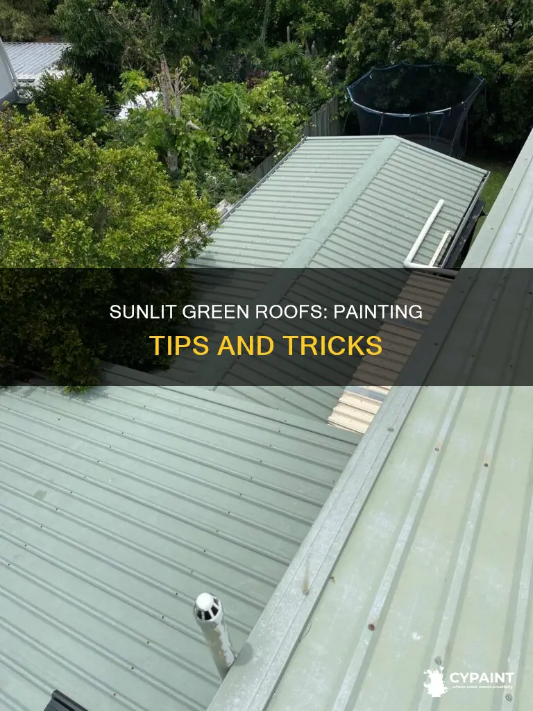 how to paint a green roof in the sun