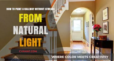 Effortless Hallway Painting: Banishing Streaks in Natural Light