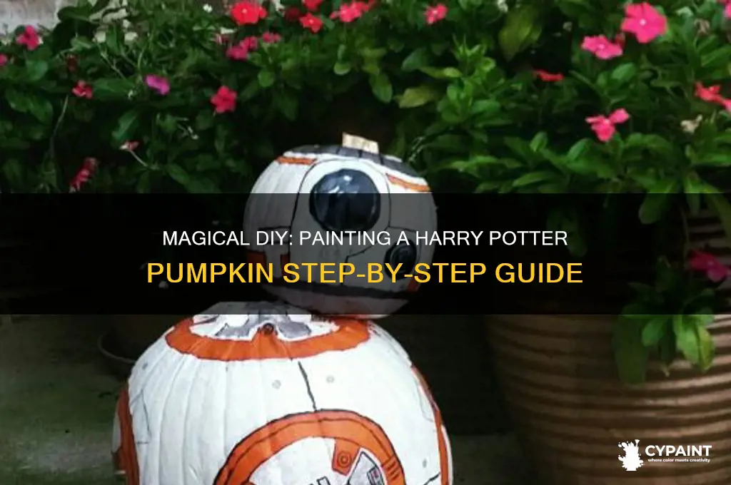 how to paint a harry potter pumpkin