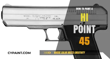 Customizing Your Hi Point 45: A Step-by-Step Painting Guide