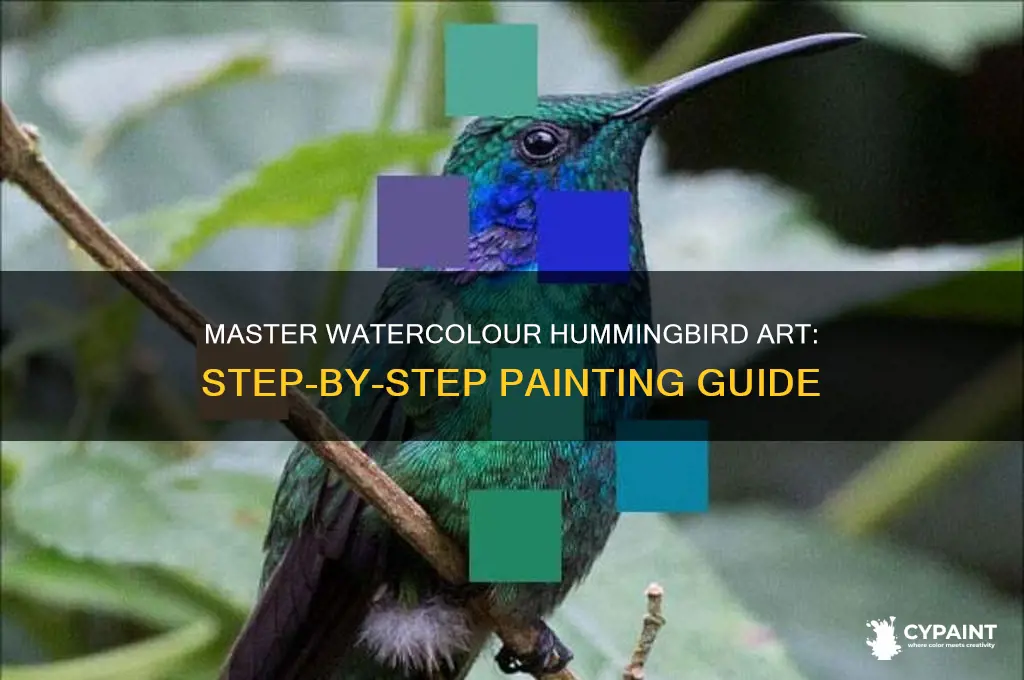 how to paint a hummingbird in watercolour