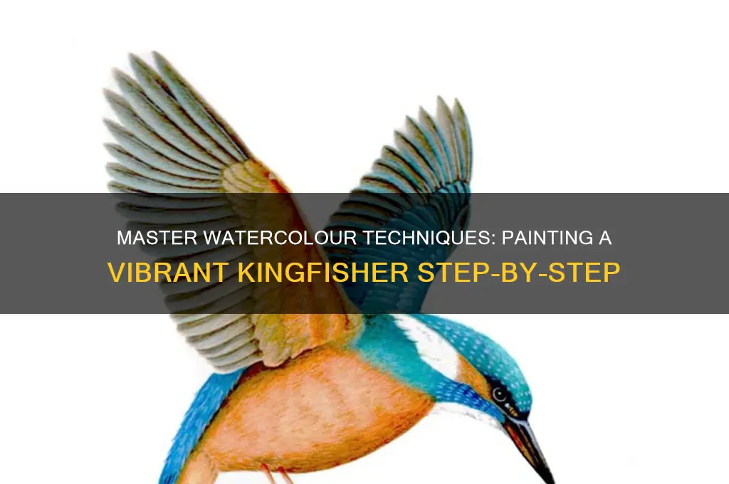 how to paint a kingfisher in watercolour