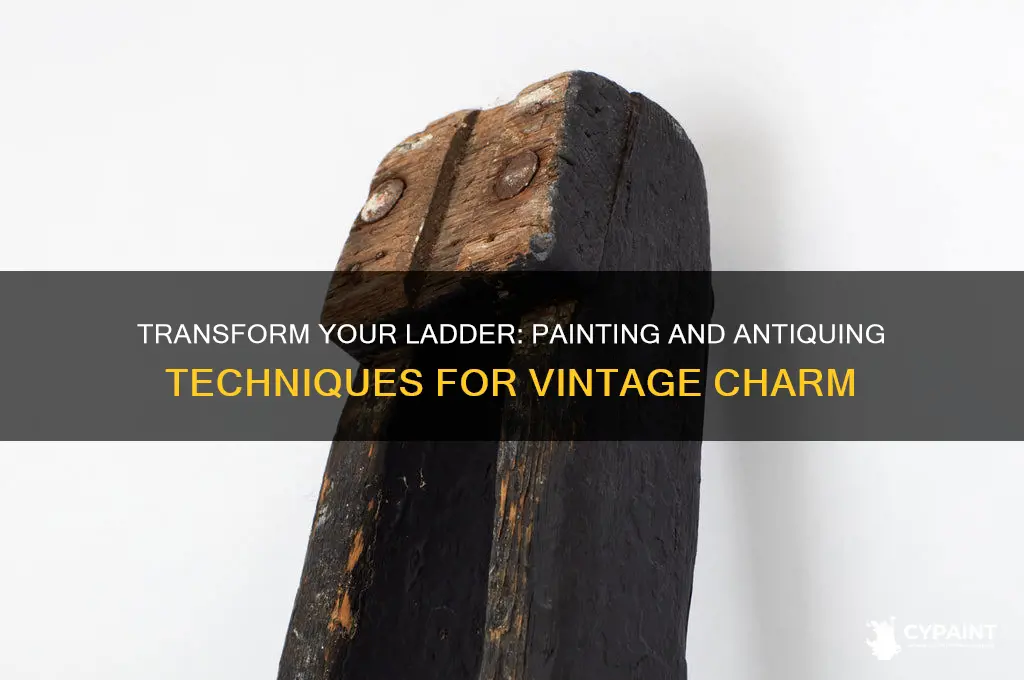 how to paint a ladder and antiques it