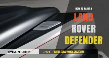 Mastering the Art: Painting Your Land Rover Defender Like a Pro