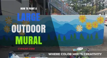 Mastering Large Outdoor Murals: Essential Tips for Stunning Public Art